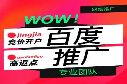 初探SEM推广代运营的多种成功模式